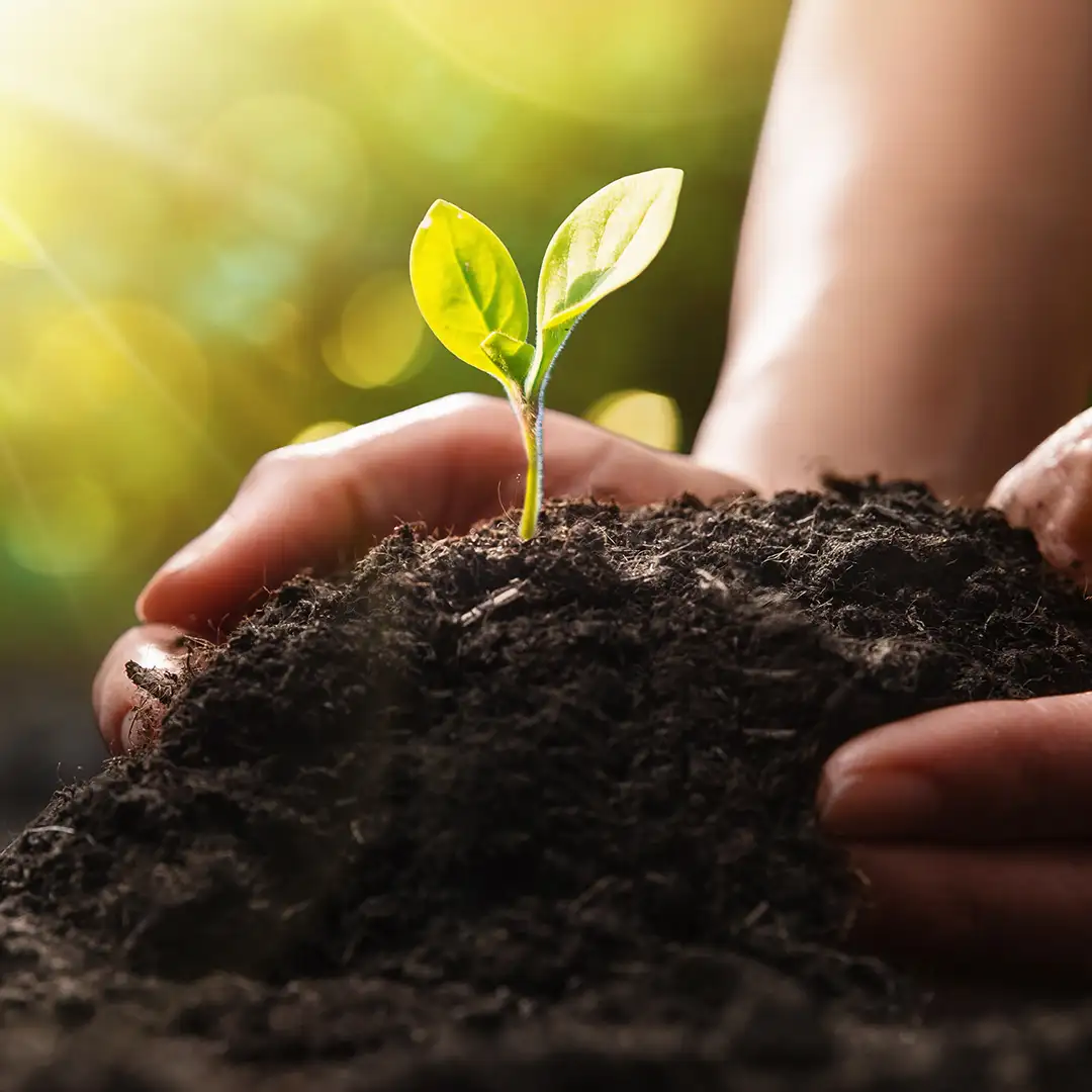 GRBV | Nachhaltigkeit, Verantwortungsbewusstsein